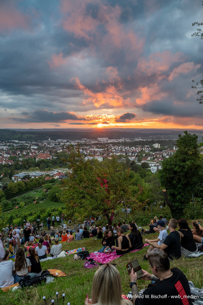 _DSC1650 | <Fotografie> <Video> <Film> <Winfried Bischoff> - Realisiert mit Pictrs.com