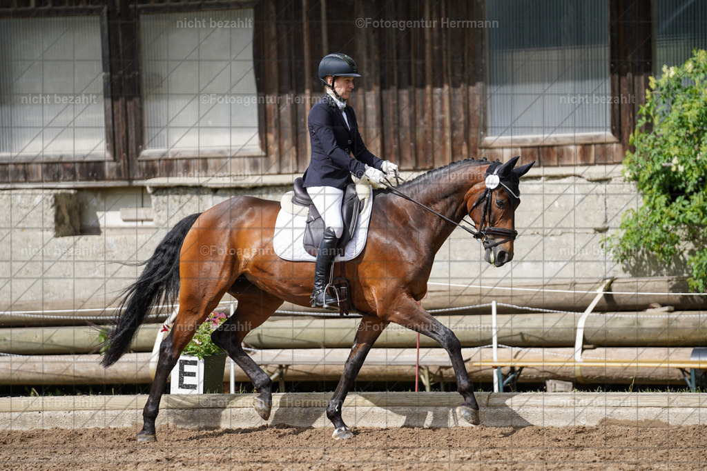 20240519-FAH04809 | Turnierbilder Niederseeon 2024, Vielseitigkeitsdressur, Reitsportbilder aus dem Landkreit Ebersberg, Gut Steinsee, RC Steinsee, Fotoagentur Herrmann