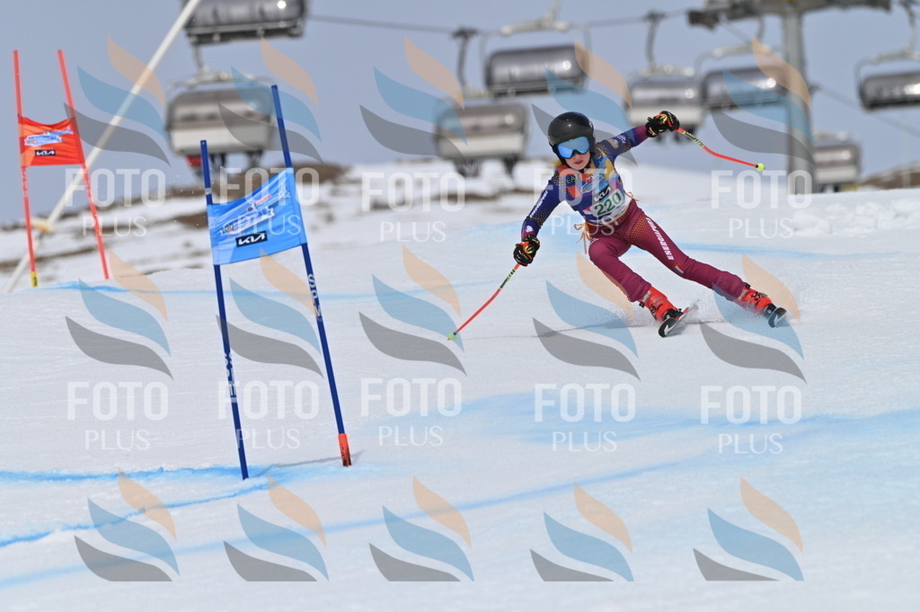 BGV_4301 | holidayphoto