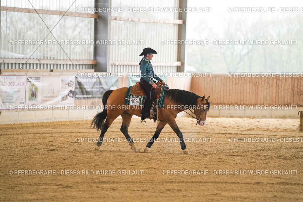 DSC09771 | Pferdegrafie