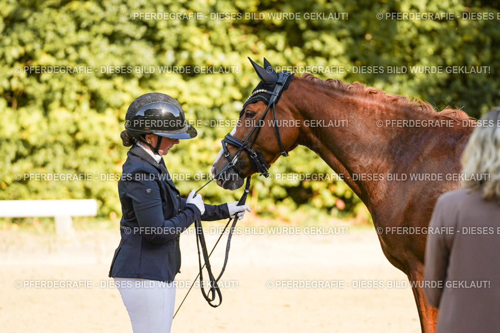 DSC06572 | Pferdegrafie