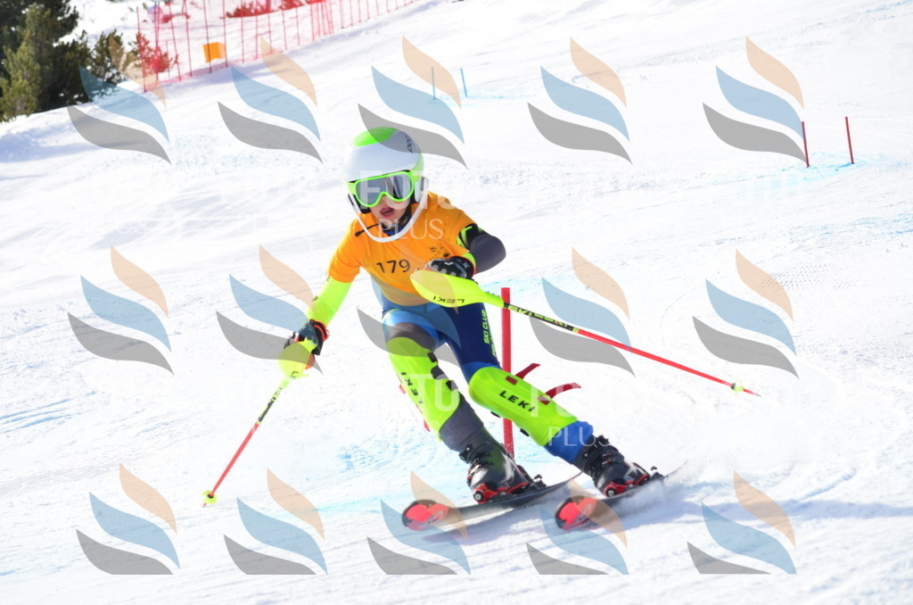 C7985 | holidayphoto