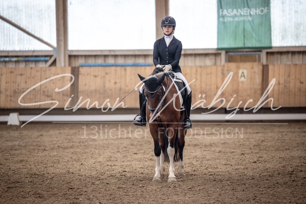 20251011-_3LI0421 | Tierfotografie Pferde, Hunde, Katzen, Haustiere.
Turnierfotografie Reitturniere, Reiten, Springreiten, Dressur in Hanau, dem Main-Kinzig-Kreis und dem Rhein-Main- Gebiet um Frankfurt