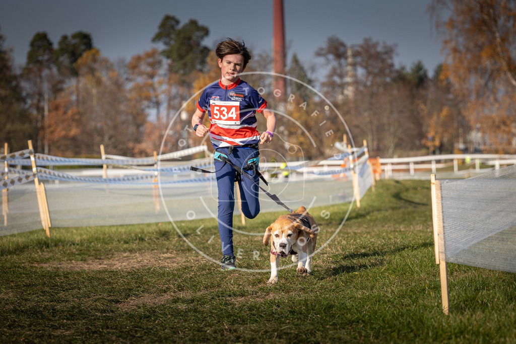 CaniXpix_0L8A9024 | Hundefotografie, Tierfotograf, Pfotenfotografie, Fotoshooting Hund, Hunde Portrait, Hundesport, Hundeportraits, Heideshooting, Hunde, Sportfotograf, Hundefotograf, Turnierhundsport, THS,  - Realisiert mit Pictrs.com