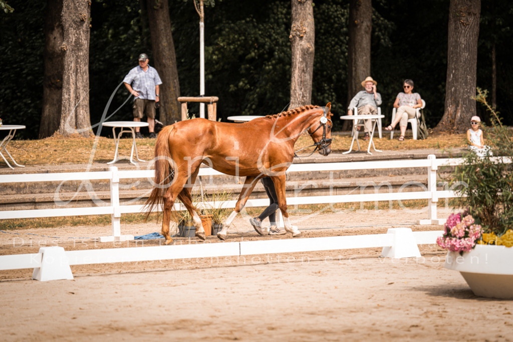 4.Fr00201 | Leoni Ertmer Photography - Realisiert mit Pictrs.com