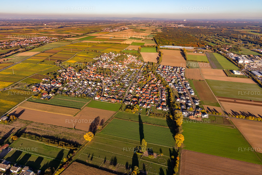Luftbild: Ortsansicht von Westen in Bornheim im Bundesland Rheinland-Pfalz in Deutschland. Foto: IMG_104075.jpg vom 14.10.2017 durch Werner Riehm/FLY-FOTO.de
