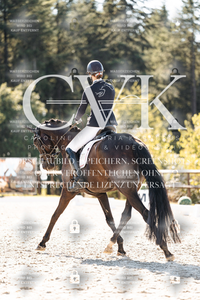 CK905563 | Turnierfotografie Pferdefotografie Trier Rheinland-Pfalz Pferdesport Reitsport Tierfotografie Sportfotografie Pferdevideo Pferdevideografie Equestrianvideography equestrianphotography  - Realisiert mit Pictrs.com