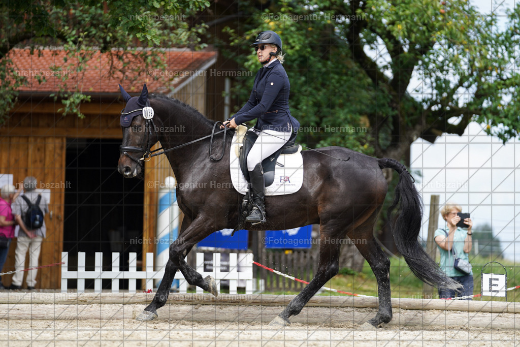 20230826-FAH05601 | Forstinning, 2023, Dressurturnier, Turniersportbilder, Turnierfotografen Bayern, Fotoagentur Herrmann, Reitsportfotografie, Turnierbilder