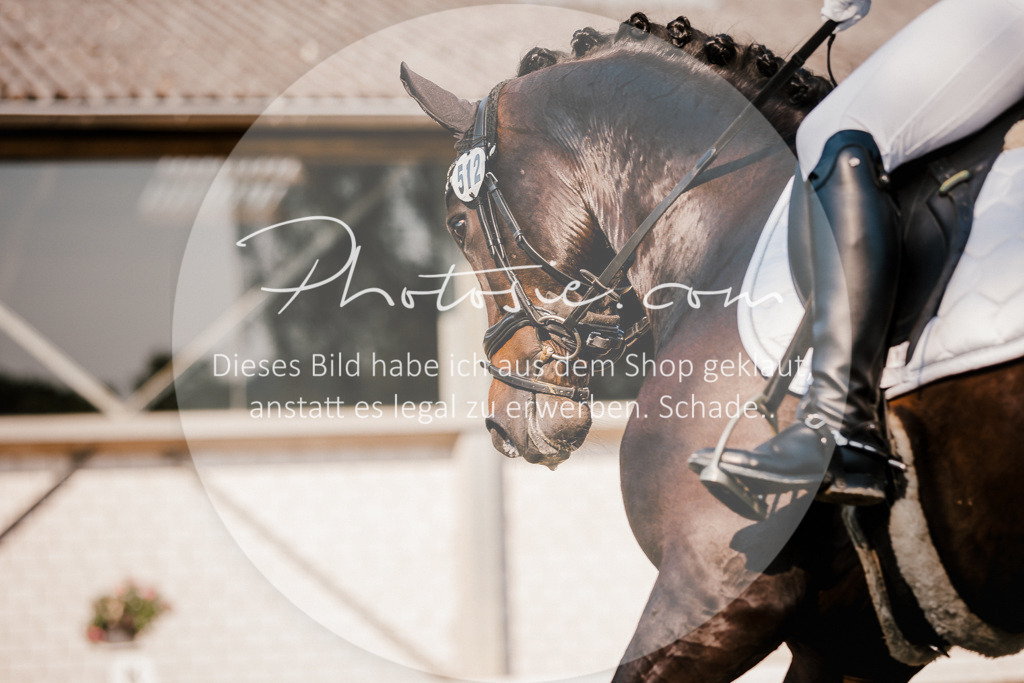 3I6A8899 | Stimmungsvolle Portraits und Reitsportfotografie im Ruhrgebiet und im Münsterland.

Pferdefotografie, Hundefotografie, Tierfotografie, Reportagen, Portraits von Tier und Mensch, Turnierfotografie in Bochum, Recklinghausen, Marl, Haltern am See, Dülmen.. - Realisiert mit Pictrs.com
