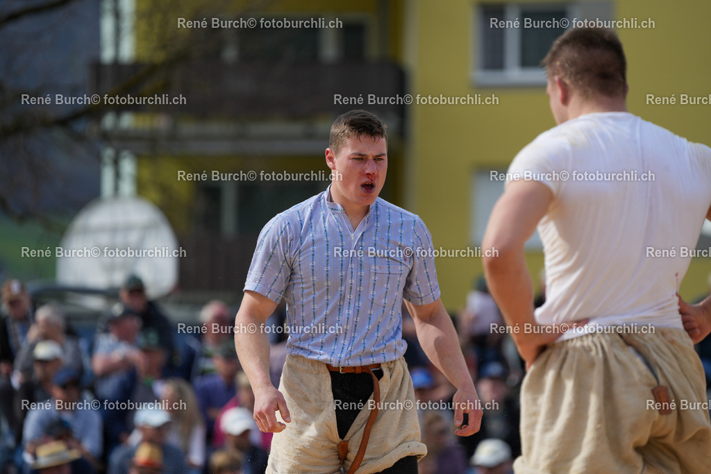 RB_00870 | René Burch leidenschaftlicher Fotograf aus Kerns in Obwalden.  Hier finden sie Sport, Landschaft und Natur Fotografie.
 - Realisiert mit Pictrs.com