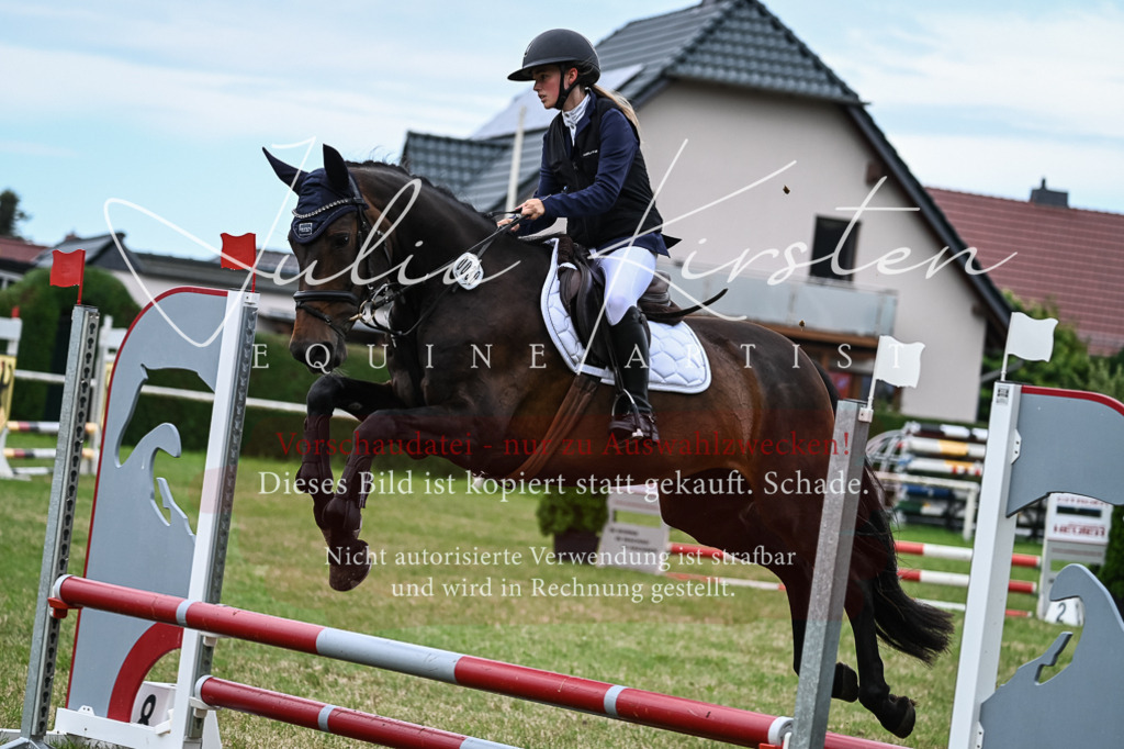 DSC_8574 | Pferde- und Turnierfotografie in Westsachsen. Pferdeportraits, Auftragszeichnungen und intuitive Kunst.