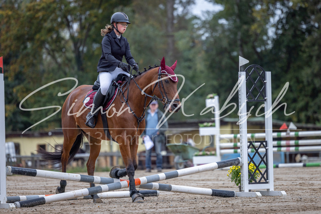 20251012-_3LI2571 | Tierfotografie Pferde, Hunde, Katzen, Haustiere.
Turnierfotografie Reitturniere, Reiten, Springreiten, Dressur in Hanau, dem Main-Kinzig-Kreis und dem Rhein-Main- Gebiet um Frankfurt