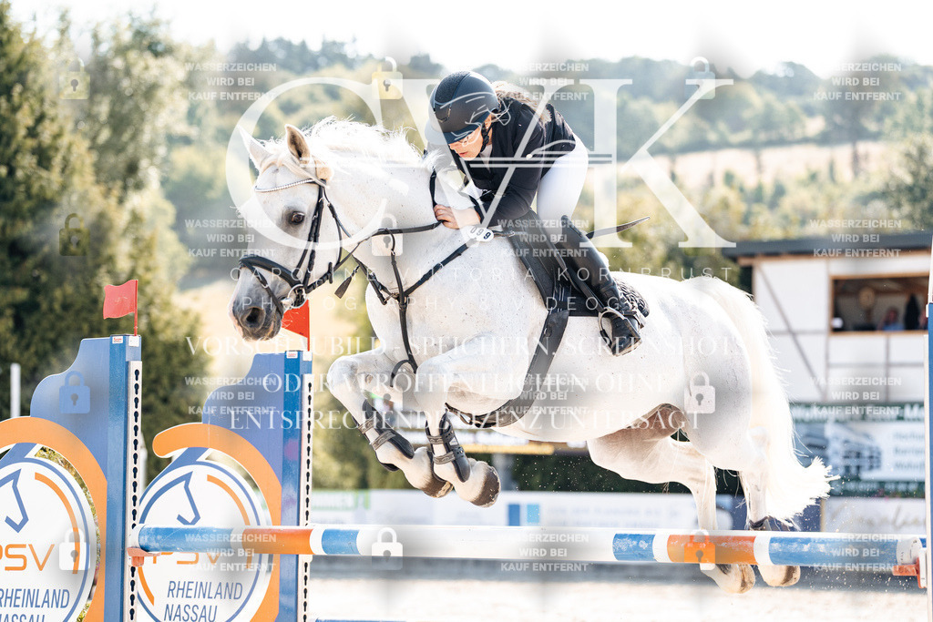 CK902463 | Turnierfotografie Pferdefotografie Trier Rheinland-Pfalz Pferdesport Reitsport Tierfotografie Sportfotografie Pferdevideo Pferdevideografie Equestrianvideography equestrianphotography  - Realisiert mit Pictrs.com