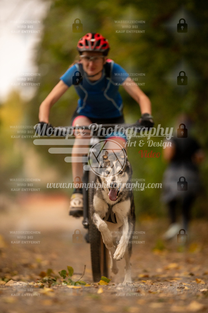 CDLBDB_14_10_2023_Samedi-76 | PayLife