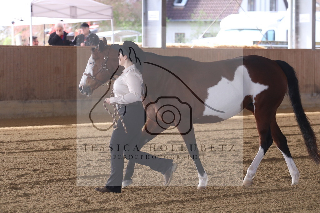 IMG_6563 | jessicahollubetz_pferdephotographie - Realisiert mit Pictrs.com