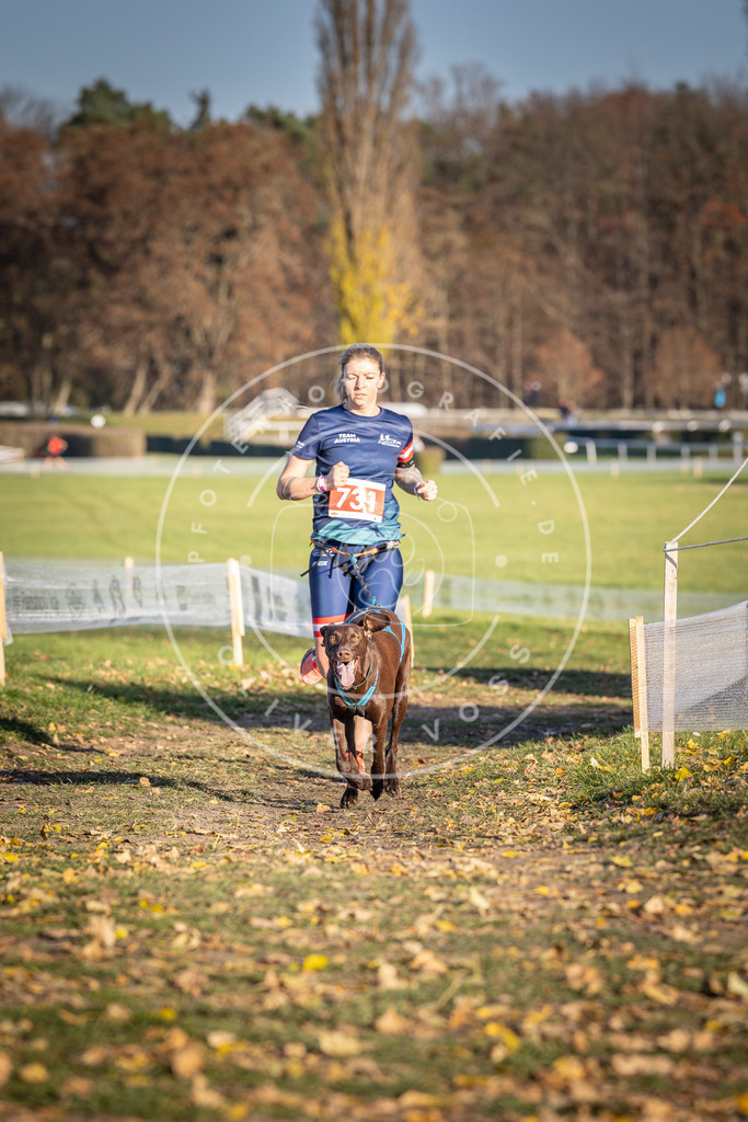 CaniXpix_DV3A2044 | Hundefotografie, Tierfotograf, Pfotenfotografie, Fotoshooting Hund, Hunde Portrait, Hundesport, Hundeportraits, Heideshooting, Hunde, Sportfotograf, Hundefotograf, Turnierhundsport, THS,  - Realisiert mit Pictrs.com
