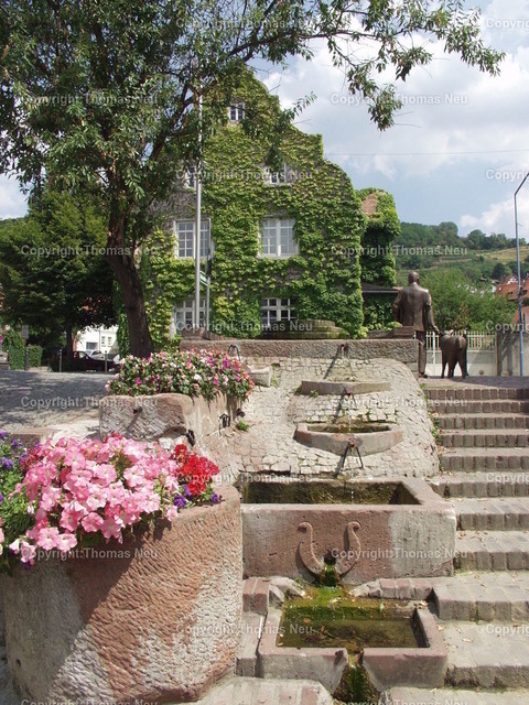 P7230052 | Hochwertige Fotografien aus Bensheim, der hessischen Bergstraße und dem Odenwald. Stadtansichten, Landschaften und historische Motive von Fotograf Thomas Neu- als Datei und Print erhältlich