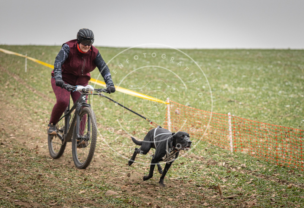 Pfotenfotografie_DV3A2920 | Hundefotografie, Tierfotograf, Pfotenfotografie, Fotoshooting Hund, Hunde Portrait, Hundesport, Hundeportraits, Heideshooting, Hunde, Sportfotograf, Hundefotograf, Turnierhundsport, THS,  - Realisiert mit Pictrs.com