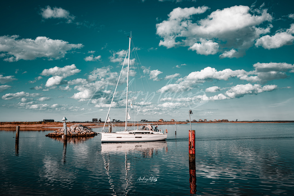 Segler Graswarder | ankerplatz-schleswig-holstein - Realisiert mit Pictrs.com