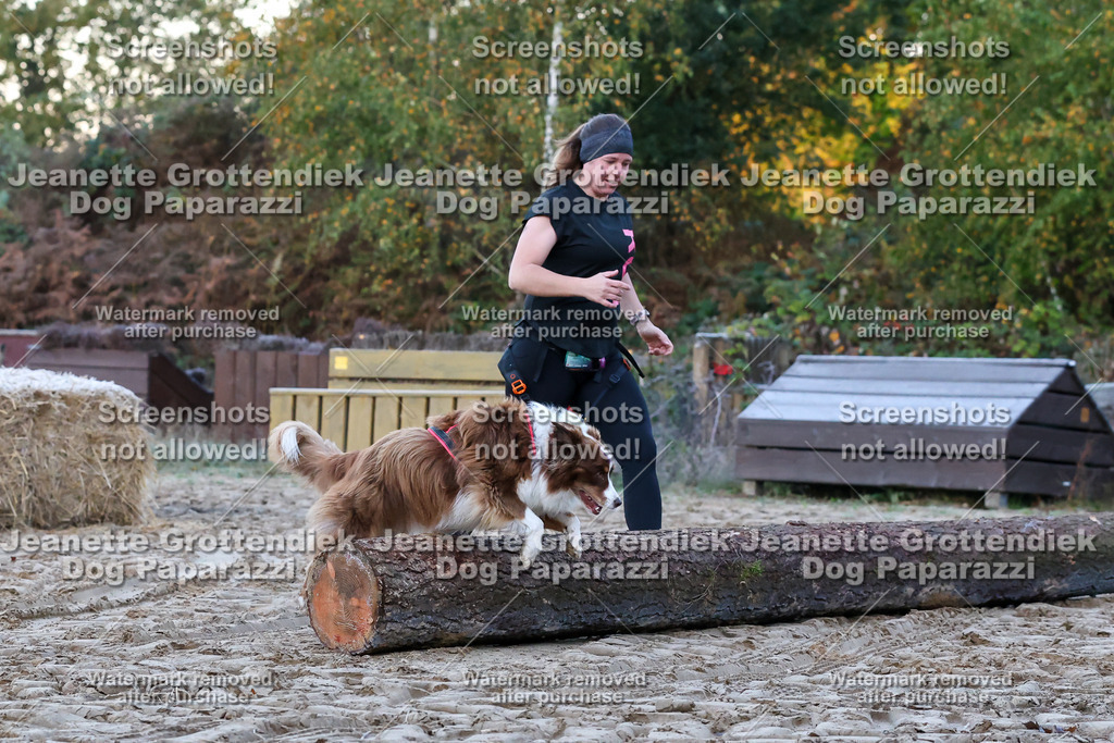 Dog Paparazzi - Strongdog 10-25-46 | Dog Paparazzi Jeanette Grottendiek Fotografie & Videografie - Realisiert mit Pictrs.com