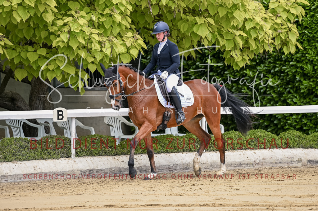 Schugtsche-Aluta25-48.Reitpferfdeprf.-149 | Schugtsche Fotografie - Realizzato con Pictrs.com