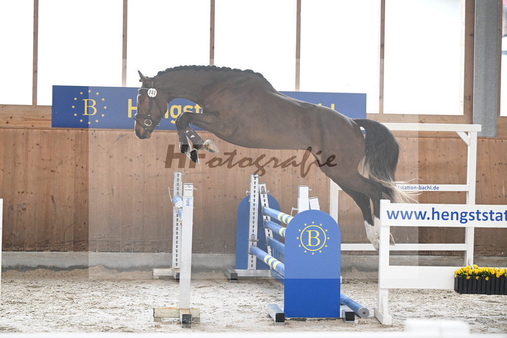 Kat-Nr. 44 Uganos Quabri Sitte v. Ugano Sitte_Keitel u Eder_14260135 | hf-fotografie - Realizzato con Pictrs.com