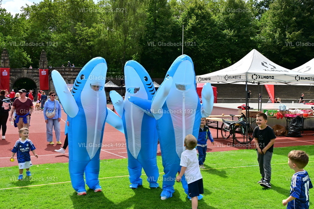 2026-08-23_Sparkassenlauf_Haie_00010 | Die Fotografen - Realisiert mit Pictrs.com