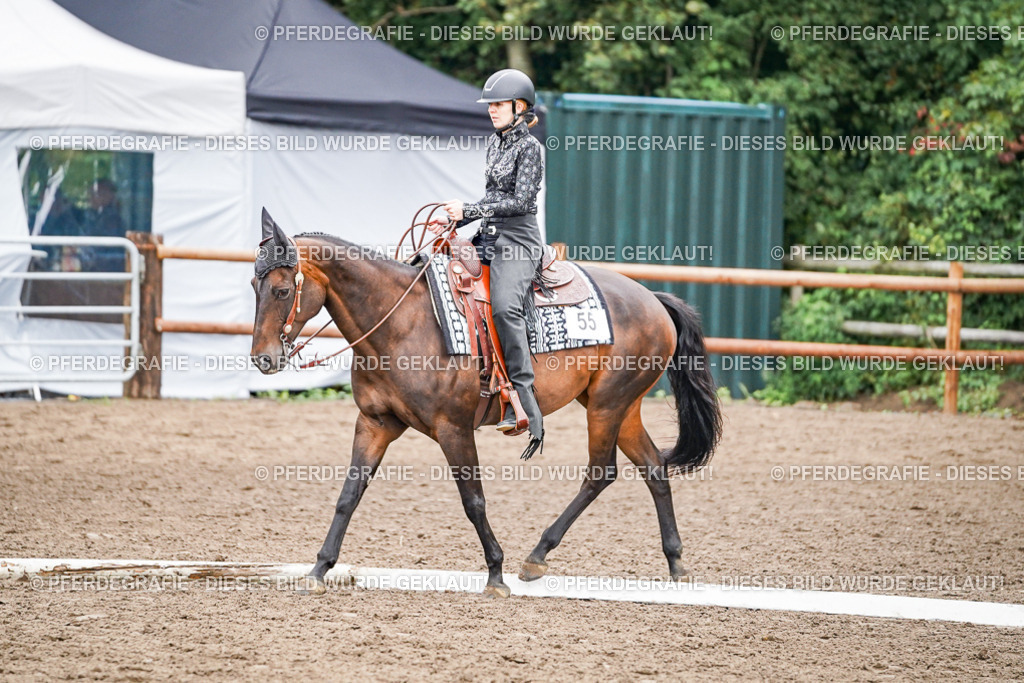 DSC03174 | Pferdegrafie