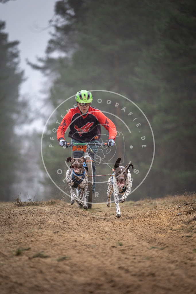 Pfotenfotografie_DV3A0925 | Hundefotografie, Tierfotograf, Pfotenfotografie, Fotoshooting Hund, Hunde Portrait, Hundesport, Hundeportraits, Heideshooting, Hunde, Sportfotograf, Hundefotograf, Turnierhundsport, THS,  - Realisiert mit Pictrs.com