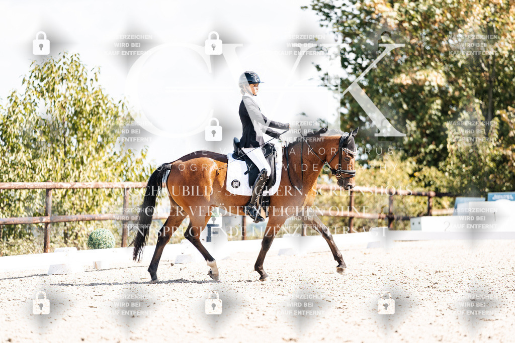 CK902683 | Turnierfotografie Pferdefotografie Trier Rheinland-Pfalz Pferdesport Reitsport Tierfotografie Sportfotografie Pferdevideo Pferdevideografie Equestrianvideography equestrianphotography  - Realisiert mit Pictrs.com