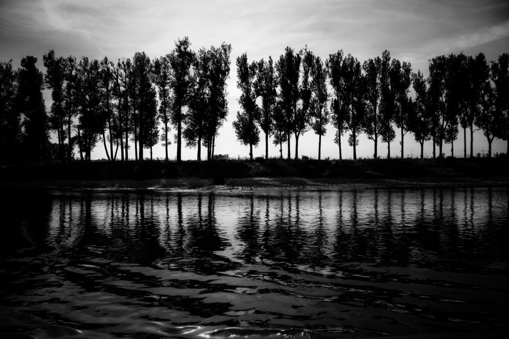 summer by the river | Dresden Zschieren - Realisiert mit Pictrs.com