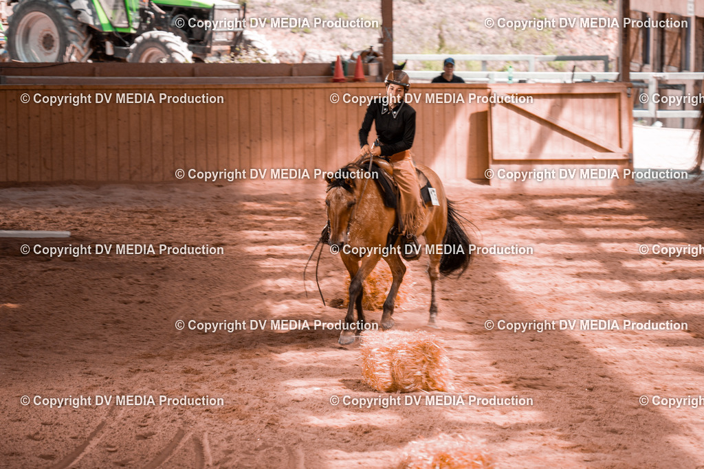 NE300387 | dv-media-shop - Realisiert mit Pictrs.com