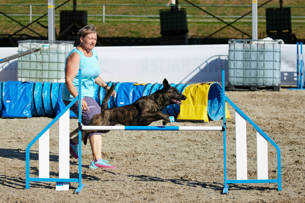 580A0148 | Peter Fridle Fotografie - Realisiert mit Pictrs.com