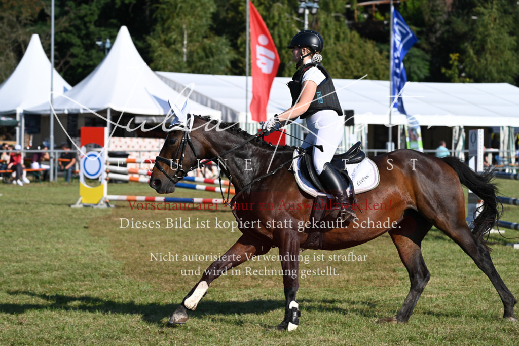 DSC_4993 | Pferde- und Turnierfotografie in Westsachsen. Pferdeportraits, Auftragszeichnungen und intuitive Kunst.
