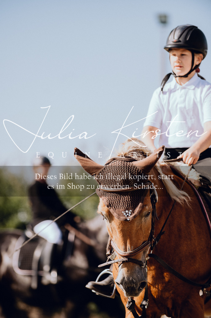 DSC_7016 | Pferde- und Turnierfotografie in Westsachsen. Pferdeportraits, Auftragszeichnungen und intuitive Kunst.