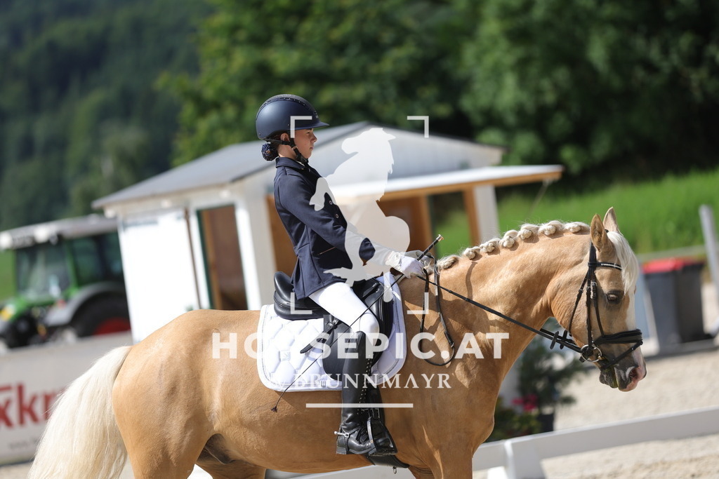 0P6A4934 | Willkommen bei Brunnmayr - Design & Fotografie – Ihrem Spezialisten für Reitturniere und Pferdeveranstaltungen in Oberösterreich, Salzburg und Bayern! Seit über 17 Jahren sind wir leidenschaftlich dabei.