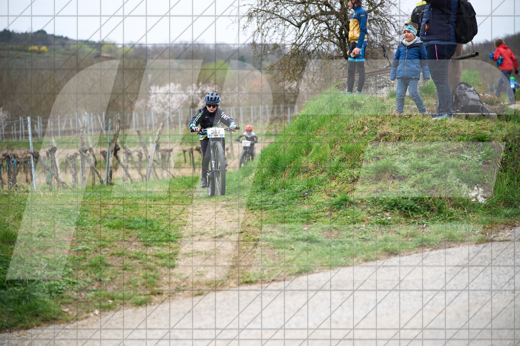 34. KTM Kamptal Trophy  | ZÖBING, Österreich – 2026-03-28: 34. KTM Kamptal TrophyFoto: © 2026 Martin Bihounek - MB Creative e.U.
