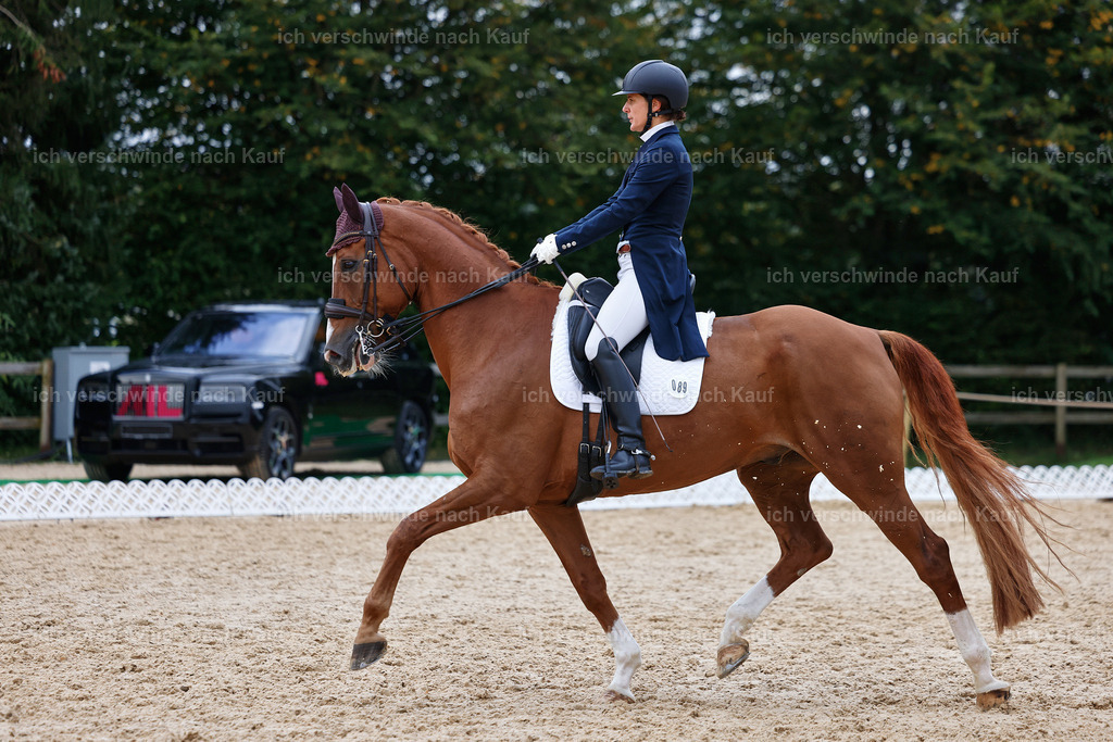 12-089-DRESSUR  S___  -StoibPH-5358 | working equitationturnier fotograf videograf stoibphotography marixx film working equitation deutschland reitsport turnierfotografie eventfotografie equestrian events