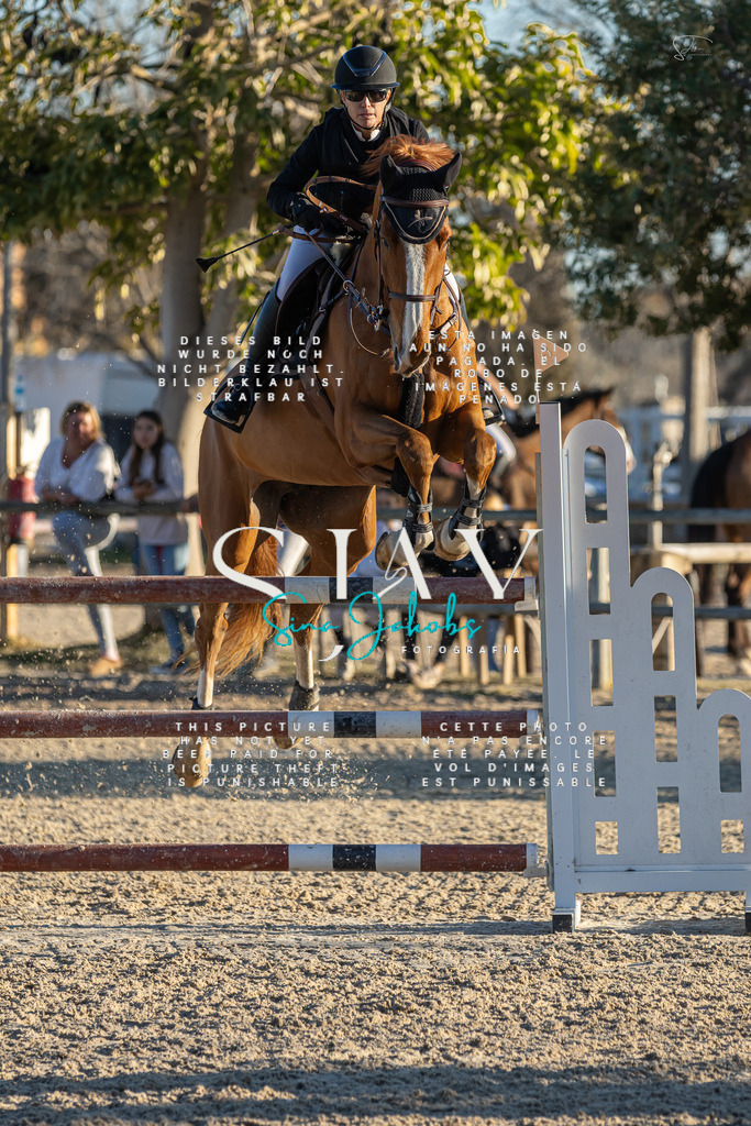 IMG_2618 | s-jay-photography - Realisiert mit Pictrs.com