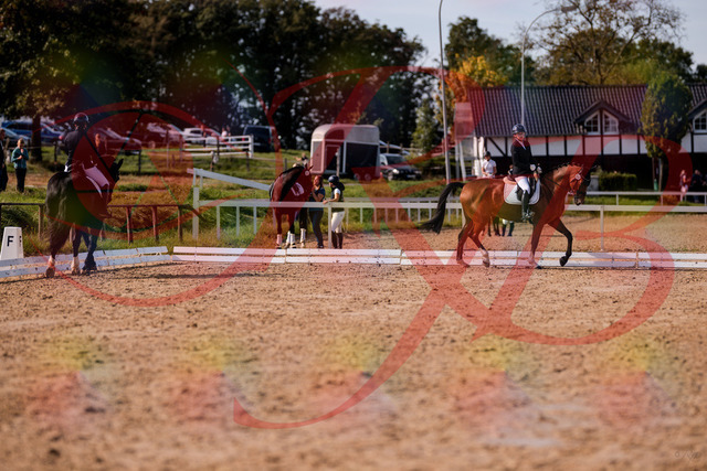 2026_10_03_Siefer-Hof_131928_Z81_68619002 | Professionelle Reitsport-, Turnier- und Eventfotografie von Robert Broda. Galerien mit ausgewählten und bearbeiteten Bildern direkt online ansehen und bestellen.