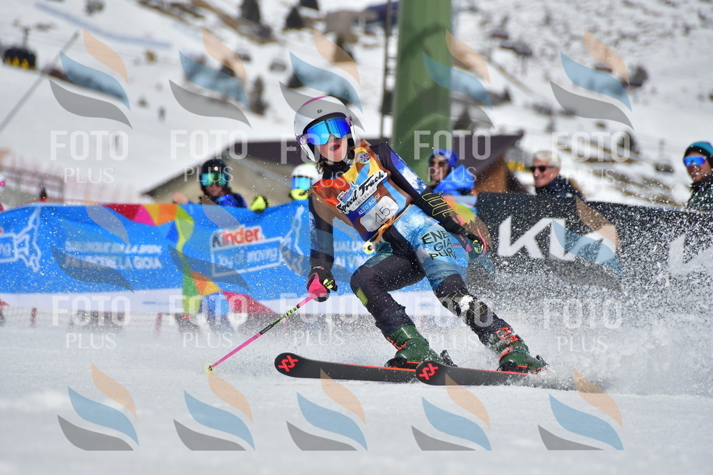 _DSC6782 | holidayphoto