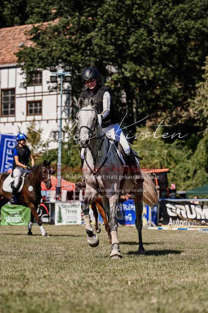 DSC_2596 | Pferde- und Turnierfotografie in Westsachsen. Pferdeportraits, Auftragszeichnungen und intuitive Kunst.