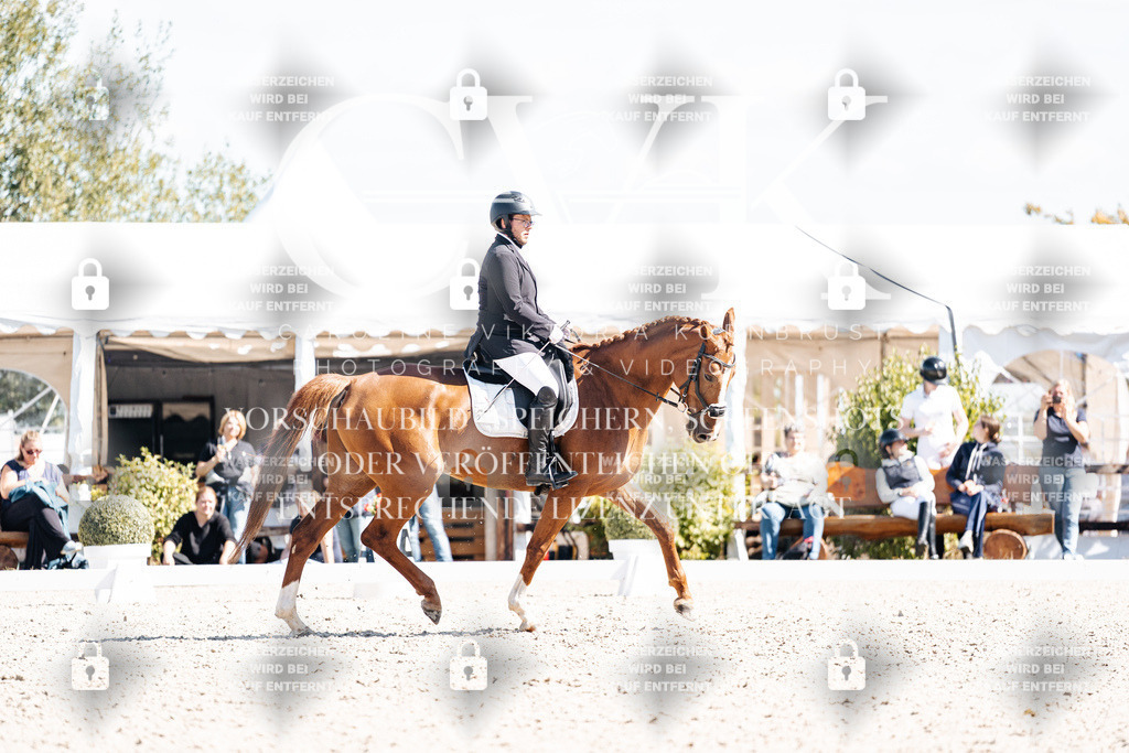 CK903359 | Turnierfotografie Pferdefotografie Trier Rheinland-Pfalz Pferdesport Reitsport Tierfotografie Sportfotografie Pferdevideo Pferdevideografie Equestrianvideography equestrianphotography  - Realisiert mit Pictrs.com