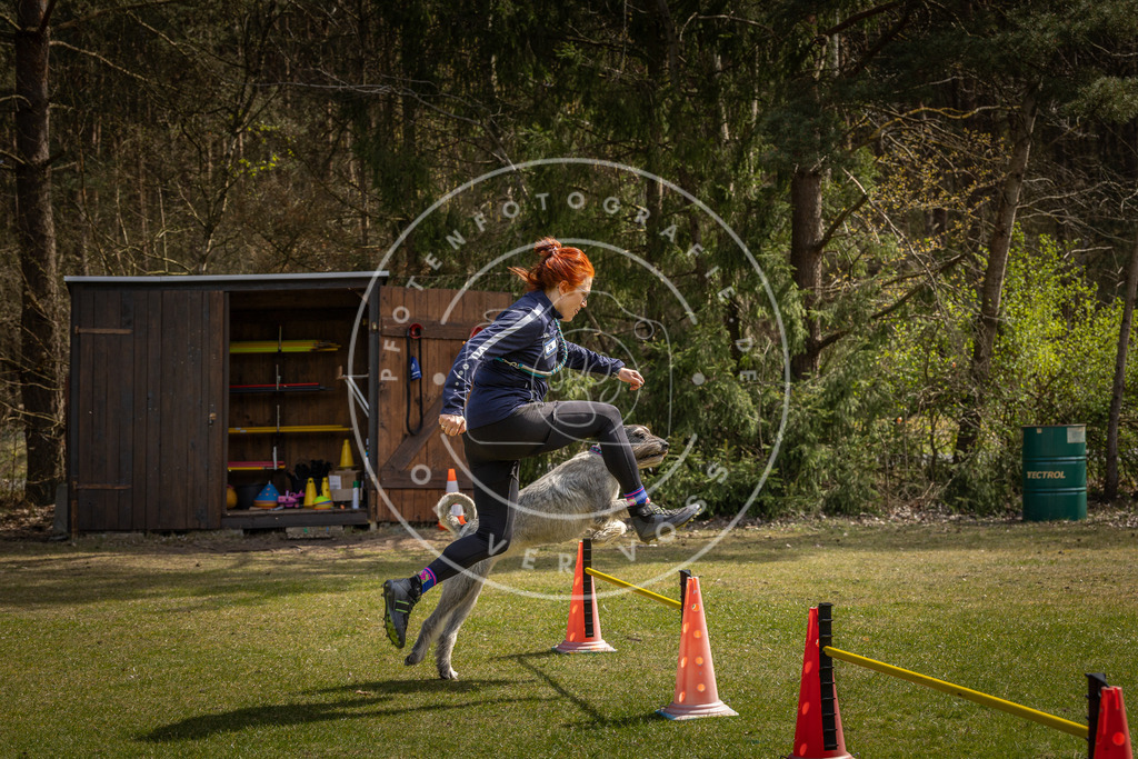 Pfotenfotografie_DV3A3704 | Hundefotografie, Tierfotograf, Pfotenfotografie, Fotoshooting Hund, Hunde Portrait, Hundesport, Hundeportraits, Heideshooting, Hunde, Sportfotograf, Hundefotograf, Turnierhundsport, THS,  - Realisiert mit Pictrs.com