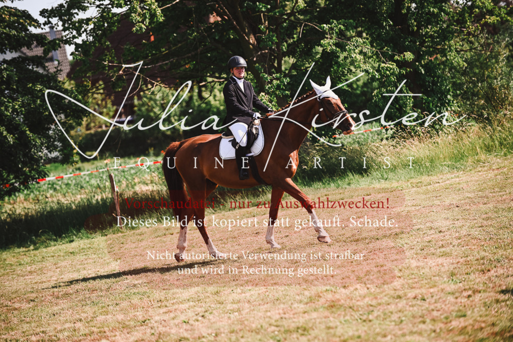 DSC_7318 | Pferde- und Turnierfotografie in Westsachsen. Pferdeportraits, Auftragszeichnungen und intuitive Kunst.