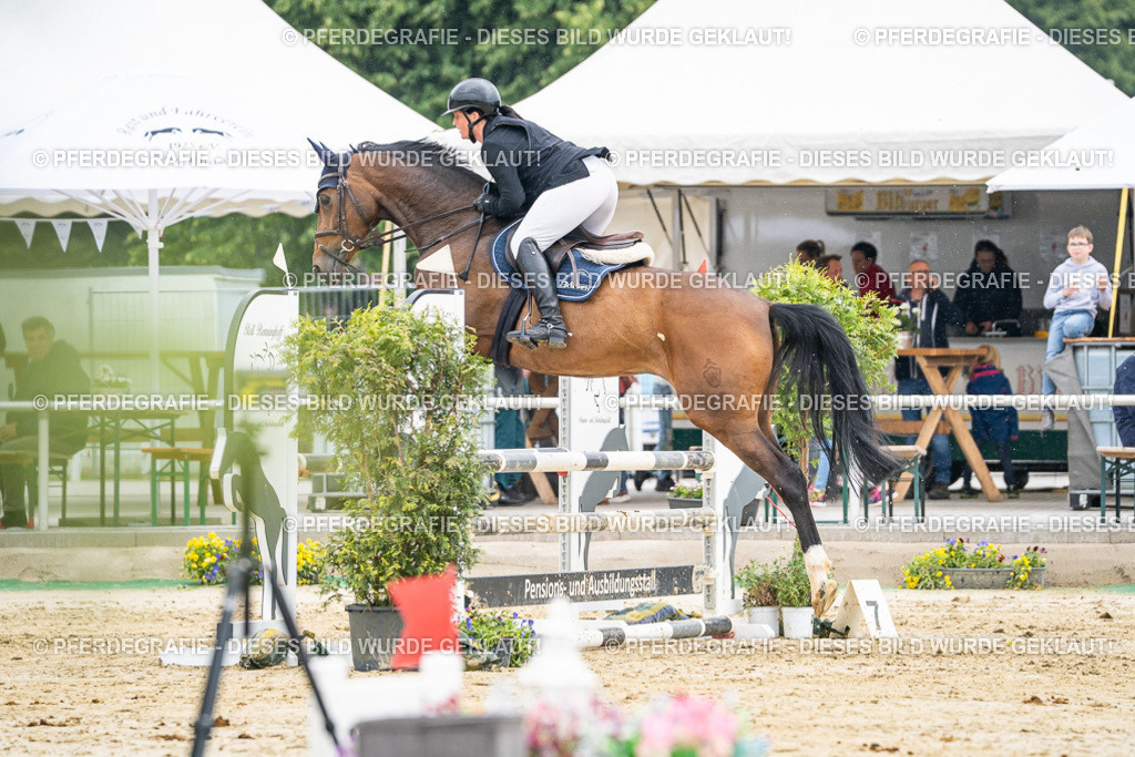 DSC00835 | Pferdegrafie