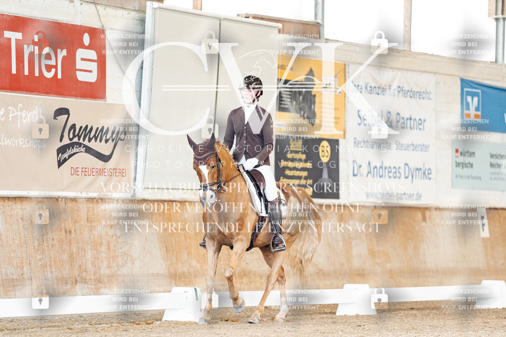 CK900796 | Turnierfotografie Pferdefotografie Trier Rheinland-Pfalz Pferdesport Reitsport Tierfotografie Sportfotografie Pferdevideo Pferdevideografie Equestrianvideography equestrianphotography  - Realisiert mit Pictrs.com