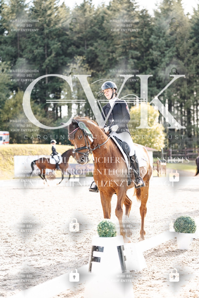 CK901799 | Turnierfotografie Pferdefotografie Trier Rheinland-Pfalz Pferdesport Reitsport Tierfotografie Sportfotografie Pferdevideo Pferdevideografie Equestrianvideography equestrianphotography  - Realisiert mit Pictrs.com