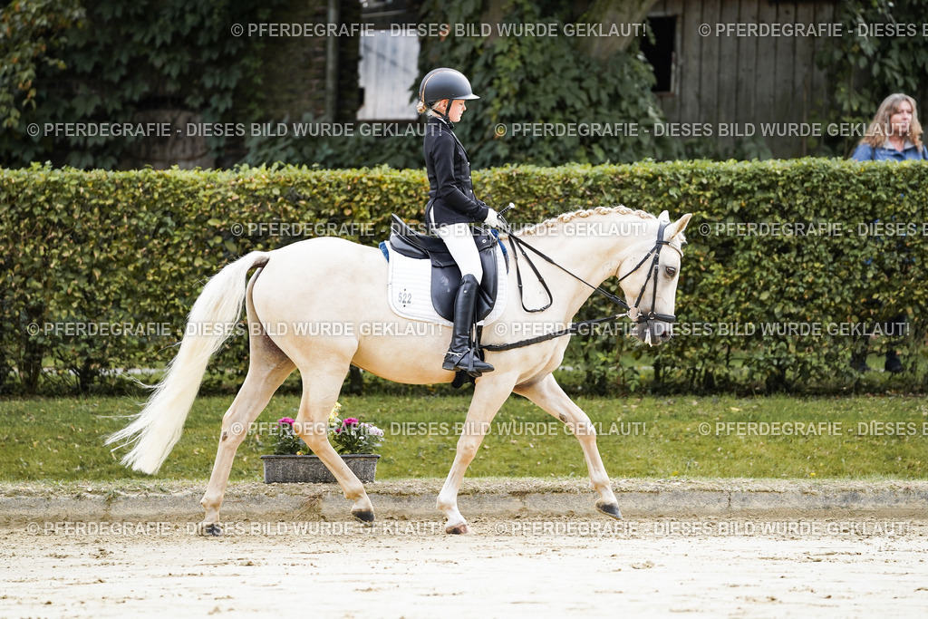 DSC05241 | Pferdegrafie