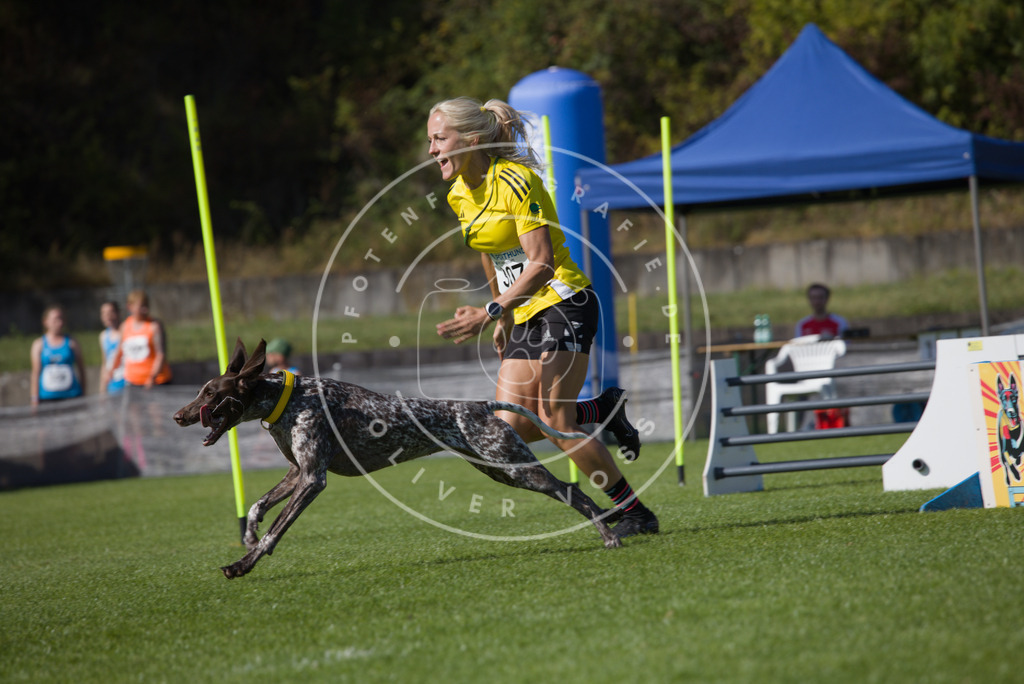 0L8A7810 | Hundefotografie, Tierfotograf, Pfotenfotografie, Fotoshooting Hund, Hunde Portrait, Hundesport, Hundeportraits, Heideshooting, Hunde, Sportfotograf, Hundefotograf, Turnierhundsport, THS,  - Realisiert mit Pictrs.com